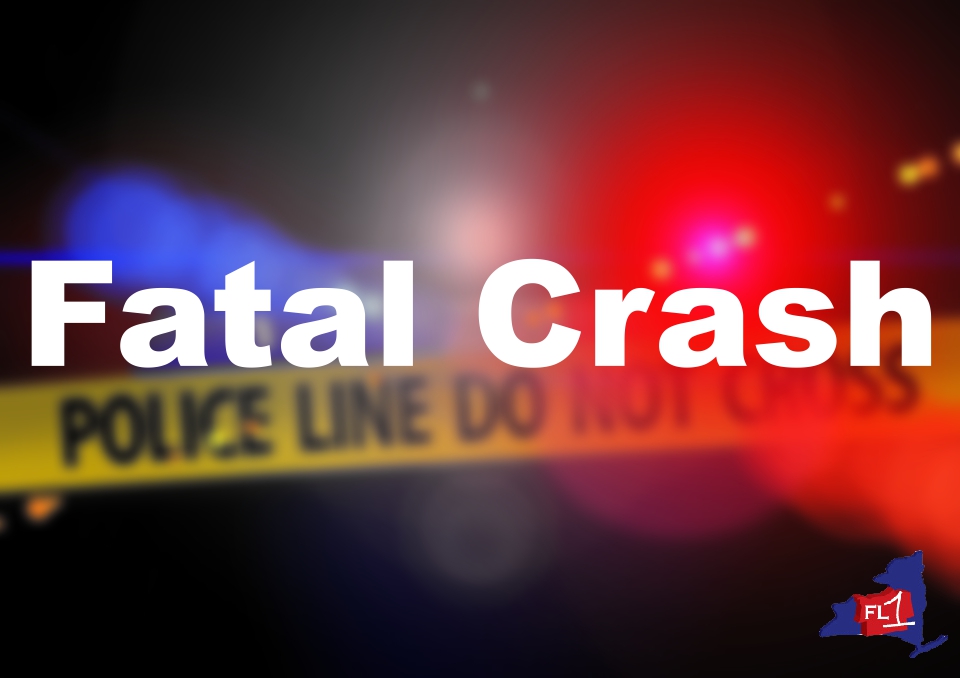 State Police Sodus man dead after car collides with tree in Arcadia
